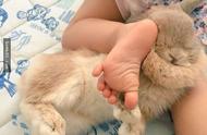 爸爸记录的'激萌兔兔与小主人'日常生活，治愈系睡觉画面令人心动